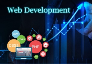 The Success That The Sector Of Web Development California Achieved